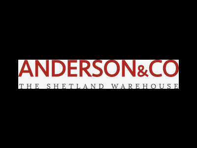 Anderson & Co case study