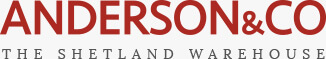 Anderson & Co case study