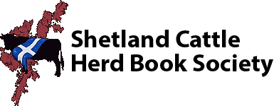 SCHBS Database case study